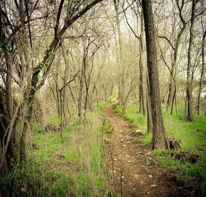 8611731702_02e223b4f4